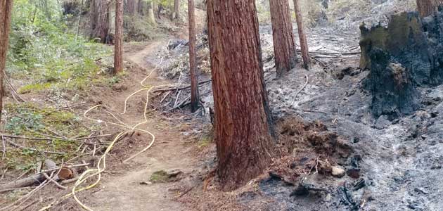 Quaker building survives US fires