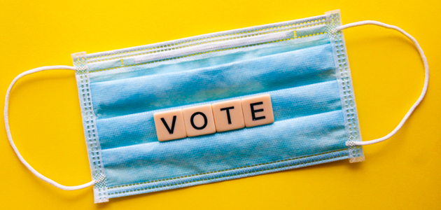 Votes of conscience: Frances Voelcker on online hustings