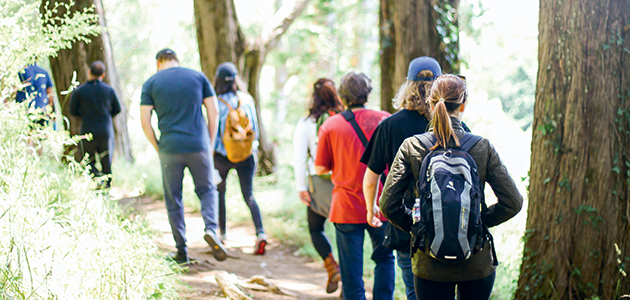 Step up: Peter Belton proposes a pilgrimage to COP26