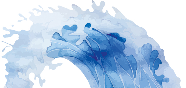 Poem: Rare Bird, a glosa for RS Thomas