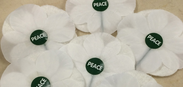 White poppies for parliamentarians