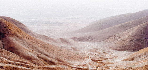 The wilderness year: Dana Littlepage Smith embraces the place where we wait, pray and act for change