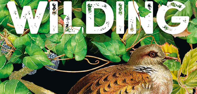 Wilding: the return of nature to a British farm, by Isabella Tree