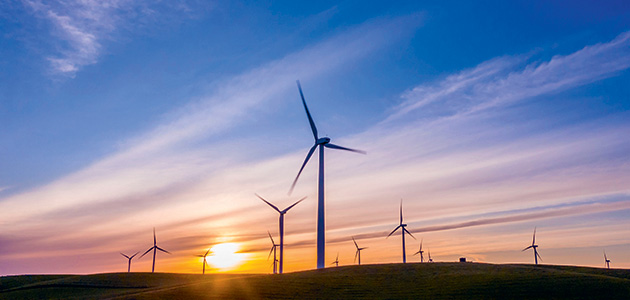 Green in judgment? Oliver Penrose on investment over tax