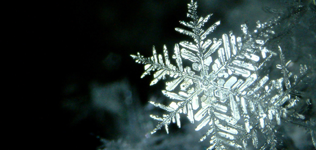 Season’s greetings, without prejudice